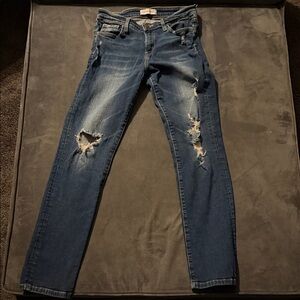 Flying Monkey Distressed Skinny Jeans in Blue
